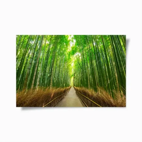 Poster ruhiger bambusweg in Kyoto – Pixers®