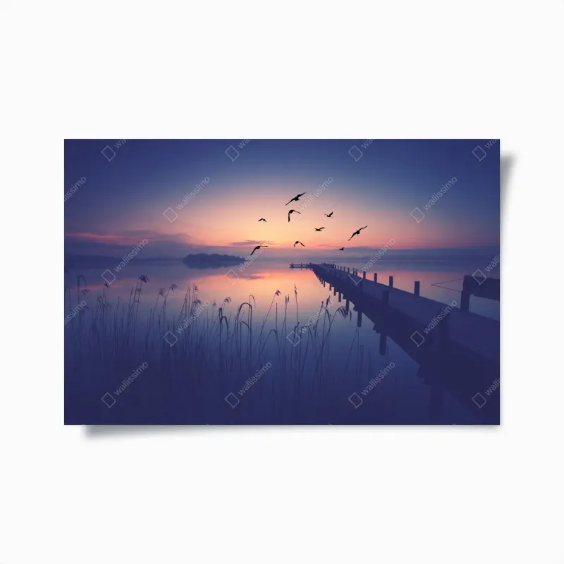 Poster ruhiger sonnenaufgang am see mit vögeln