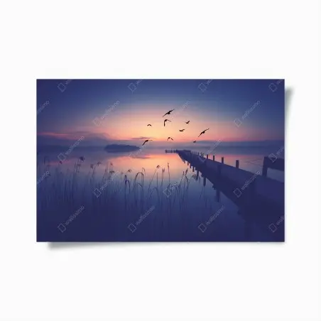 Poster ruhiger sonnenaufgang am see mit vögeln – Pixers®
