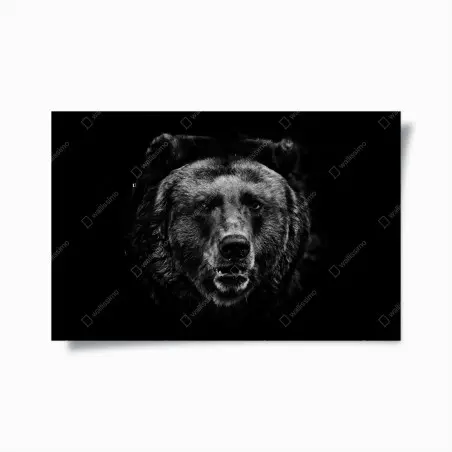 Poster düsteres grizzly-porträt in monochrom – Pixers®
