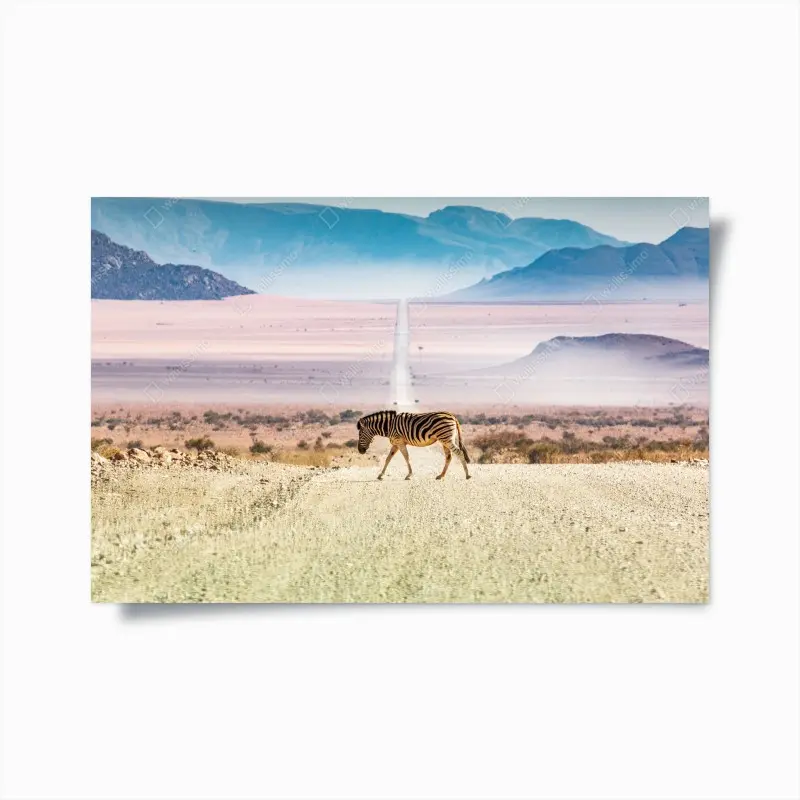 Poster zebra auf der wüstenstraße