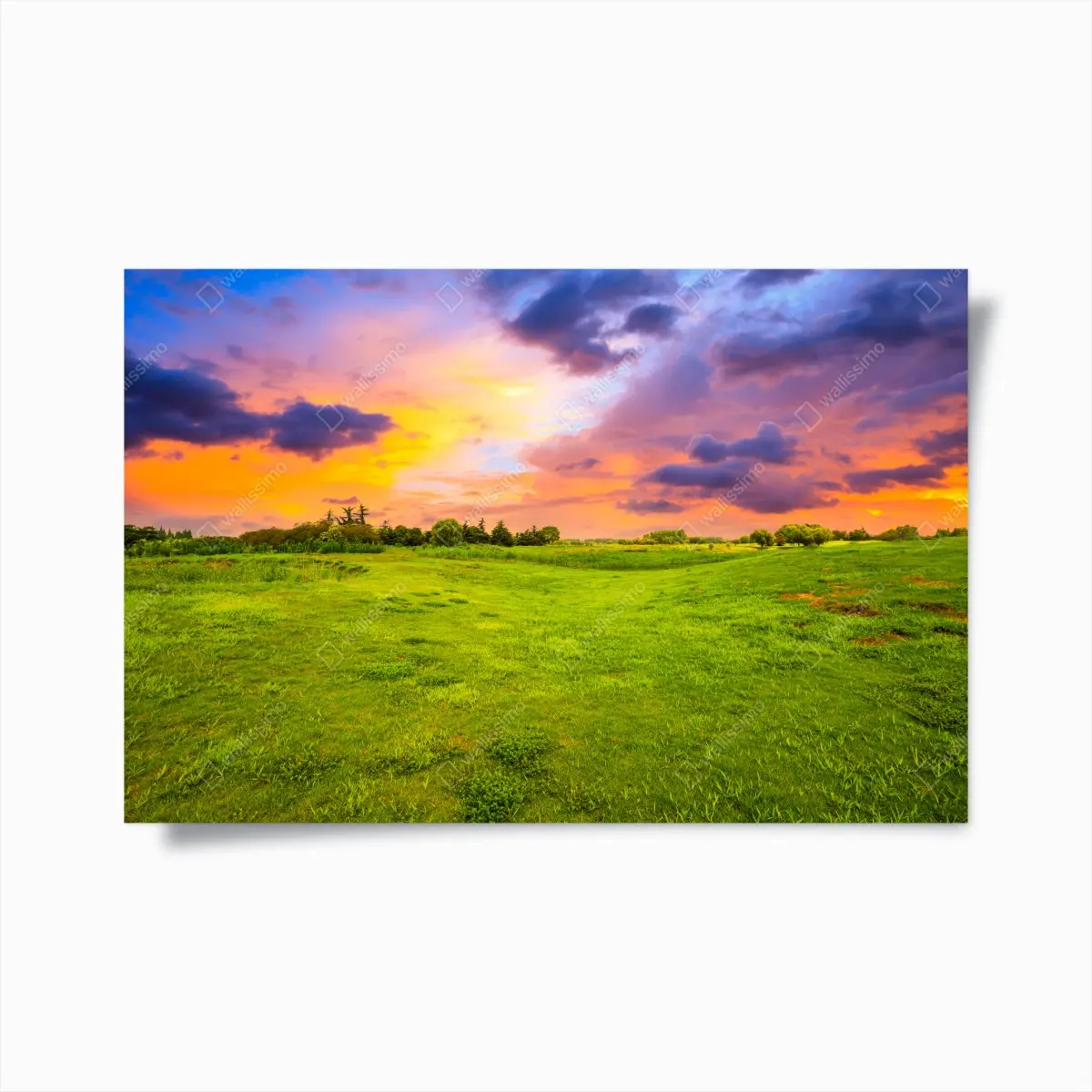 Poster sonnenuntergang über grüner wiese – Pixers®