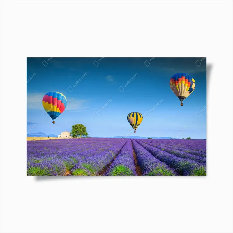 Poster lavendelfelder bei Valensole mit luftballons