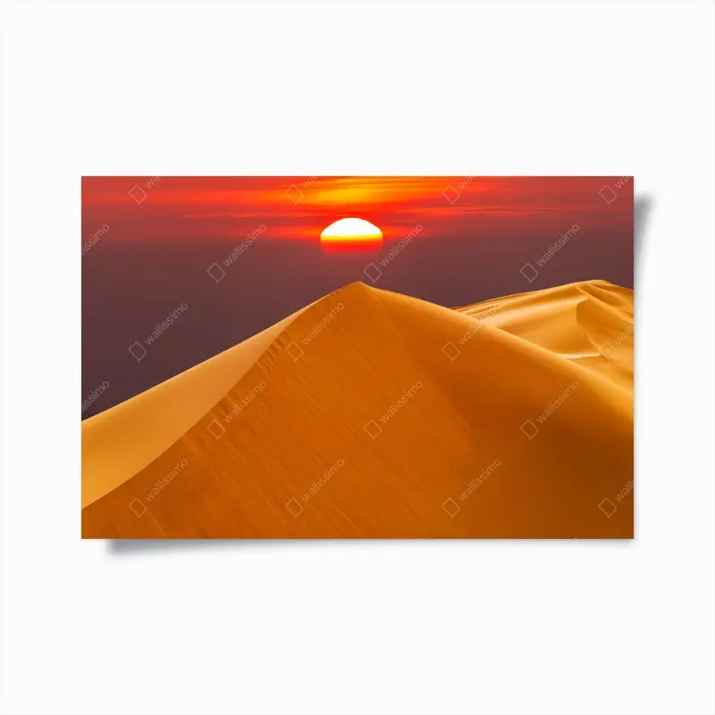 Poster goldener sonnenuntergang über sanddünen