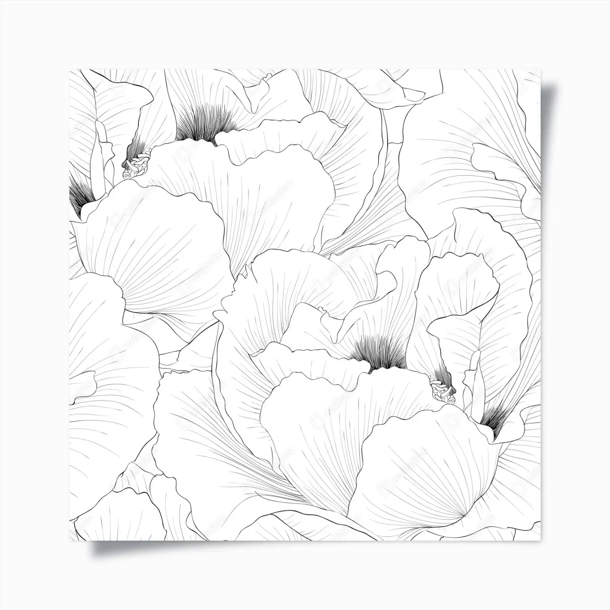 Poster feine botanische linienzeichnung mit blumen – Pixers®
