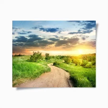Poster sonnenuntergang über einem feldweg durch grüne wiese – Pixers®