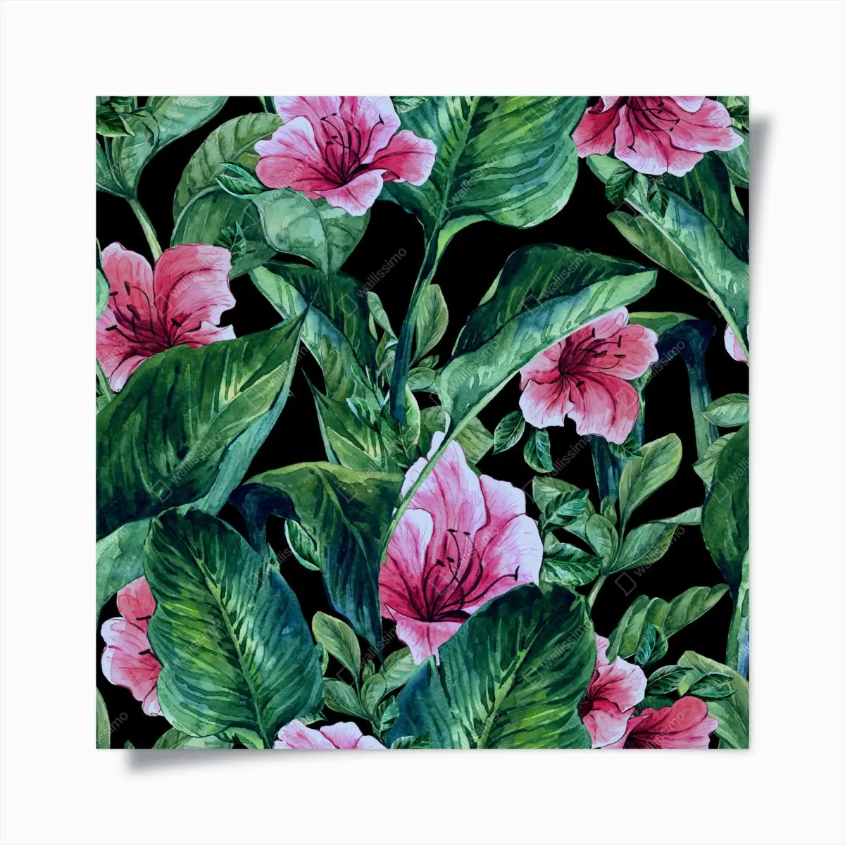 Poster rosa aquarellblumen auf schwarzem hintergrund – Pixers®
