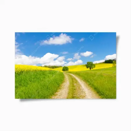 Poster sonniger landeweg durch gelbe felder – Pixers®