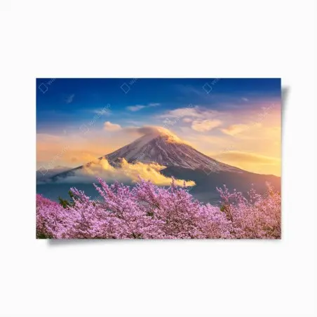 Poster Berg Fuji mit blühenden kirschblüten bei sonnenaufgang – Pixers®