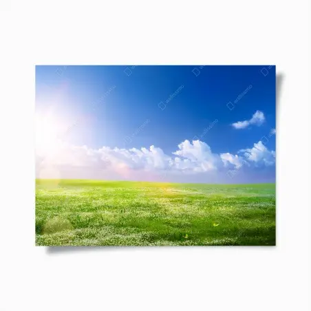 Poster sonnige frühlingswiese unter blauem himmel – Pixers®