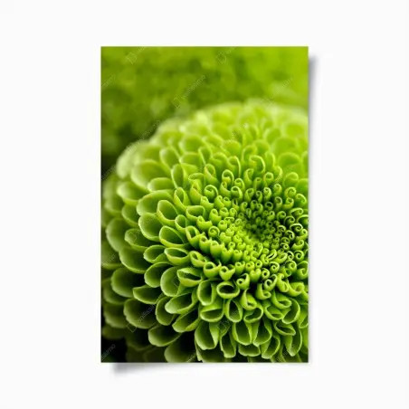 Poster leuchtende grüne blumenspirale im makro – Pixers®