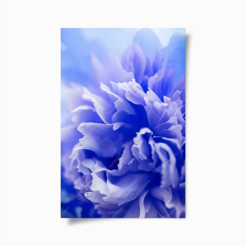 Poster sanfte blaue abstrakte blume nahaufnahme