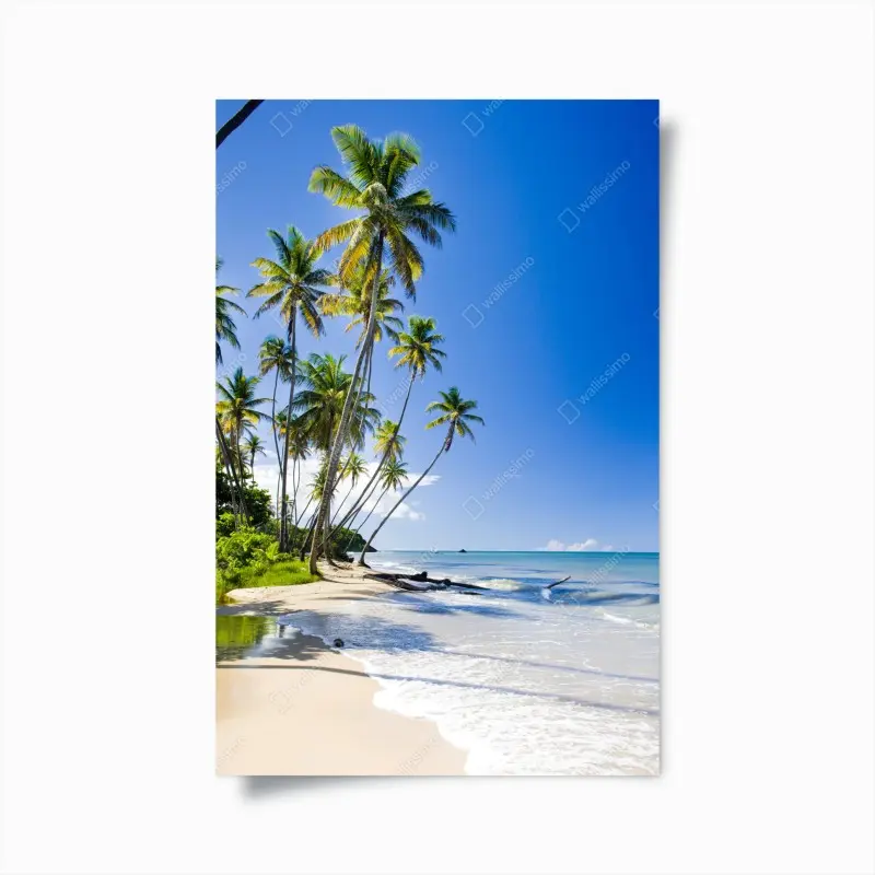 Poster tropischer palmenstrand unter blauem himmel