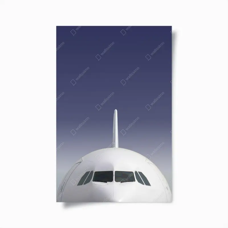 Poster frontansicht eines flugzeugs vor blauem himmel