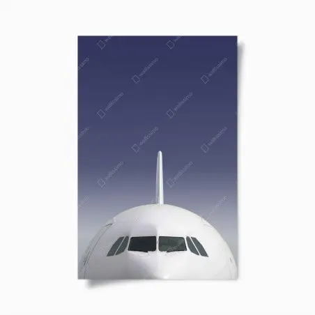 Poster frontansicht eines flugzeugs vor blauem himmel – Pixers®