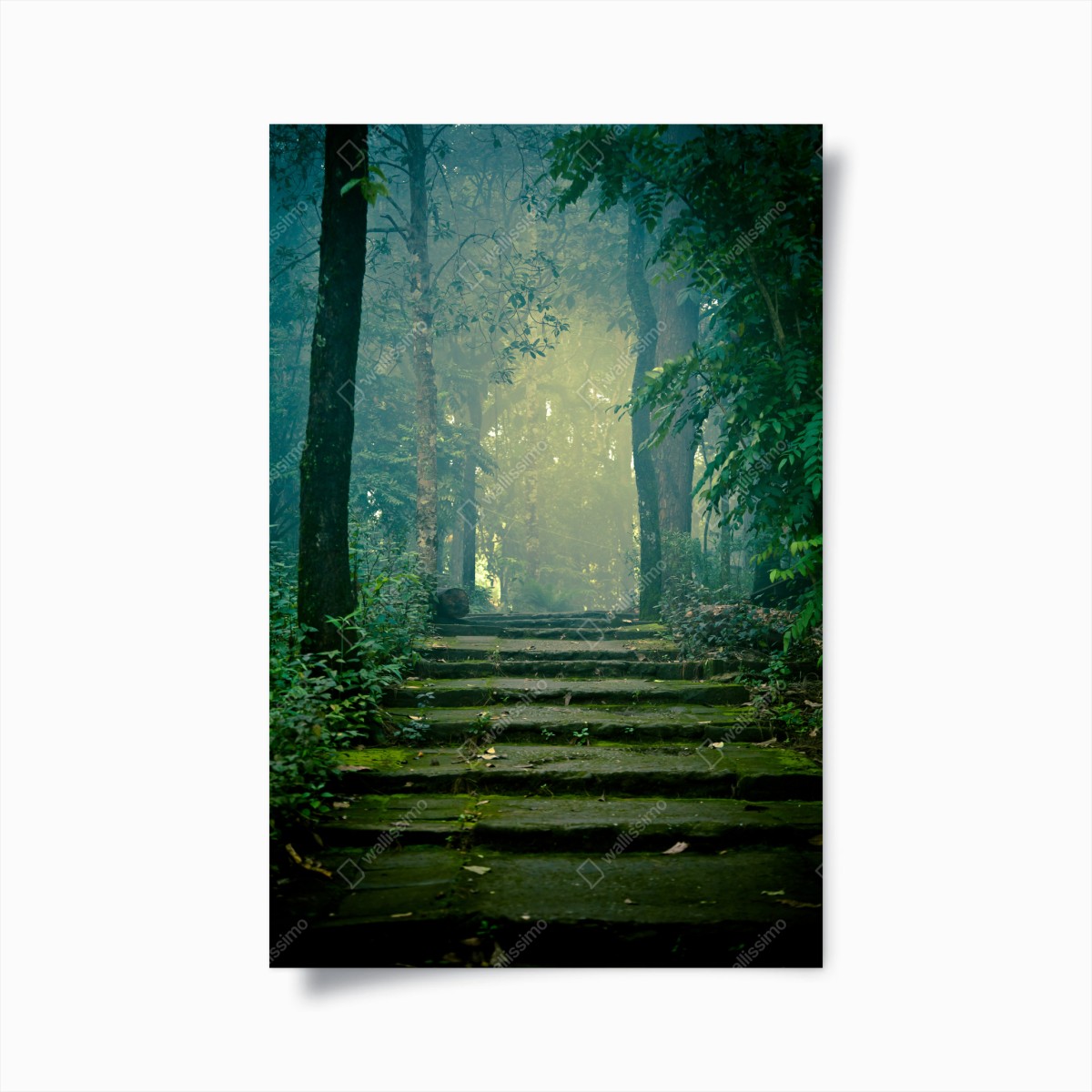 Poster moosbedeckte steintreppe in den nebligen wald – Pixers®