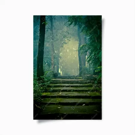 Poster moosbedeckte steintreppe in den nebligen wald – Pixers®
