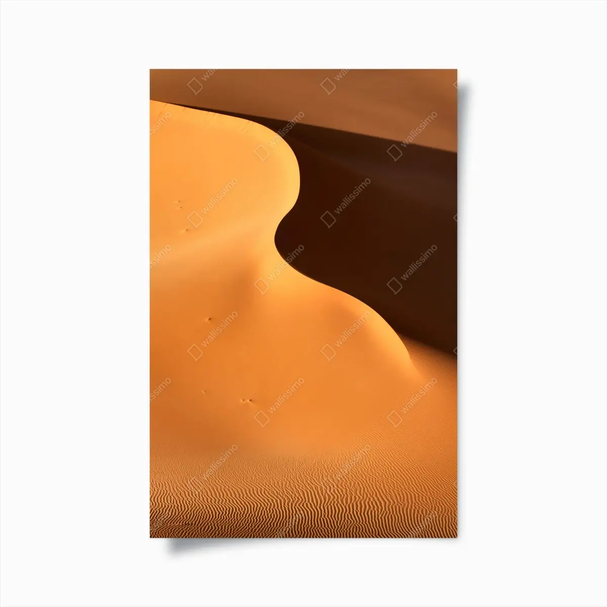 Poster goldene dünenkurven – Pixers®