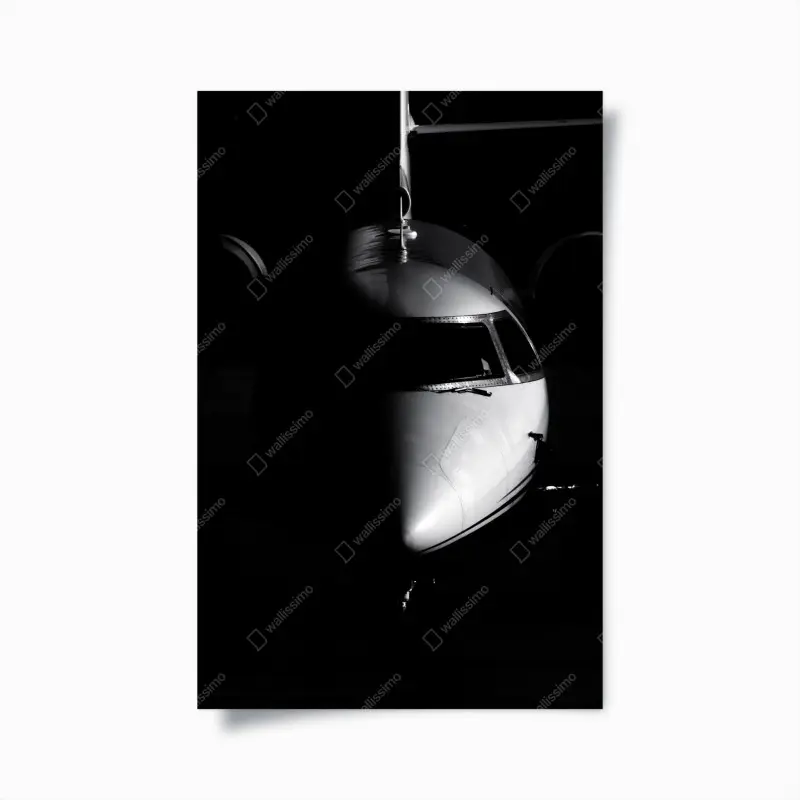 Poster monochromes porträt der flugzeugnase