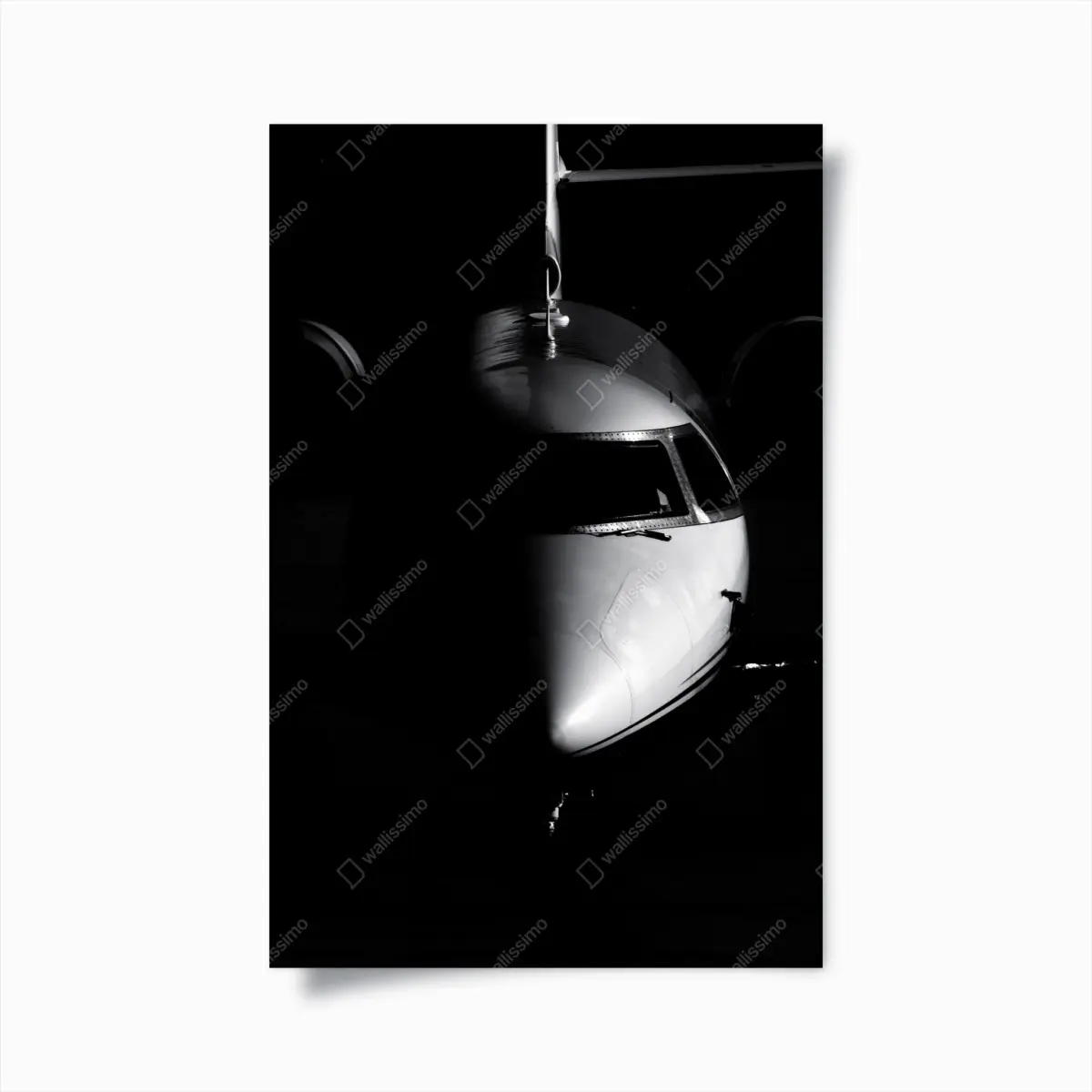 Poster monochromes porträt der flugzeugnase – Pixers®