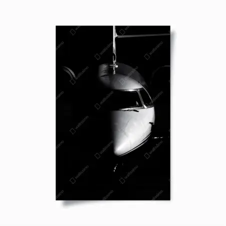 Poster monochromes porträt der flugzeugnase – Pixers®