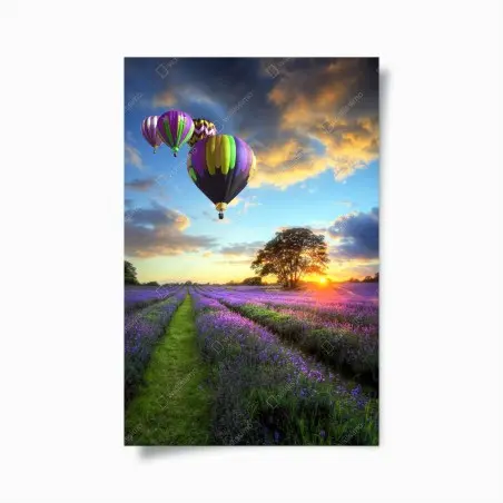 Poster lavendersonnenuntergang mit bunten heißluftballons – Pixers®
