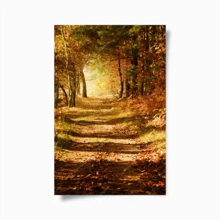Poster herbstlicher waldweg mit goldenem licht – Pixers®