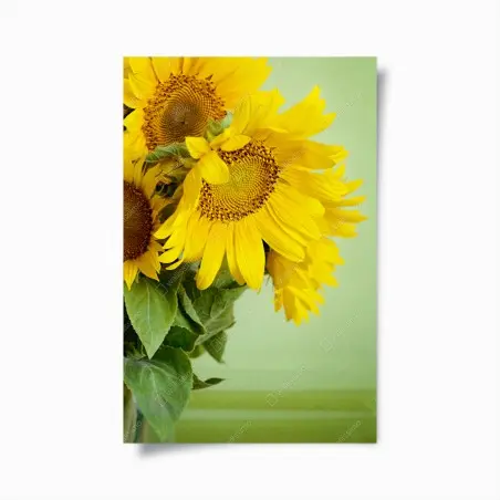 Poster heller sonnenblumenstrauß auf grünem hintergrund – Pixers®