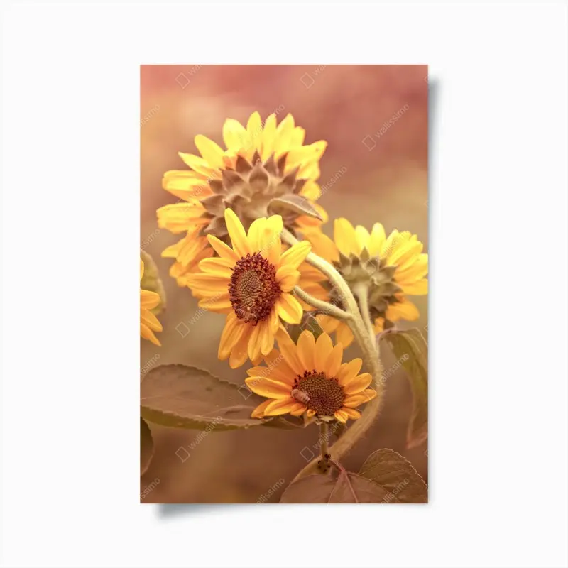 Poster vintage sonnenblumen in warmem licht
