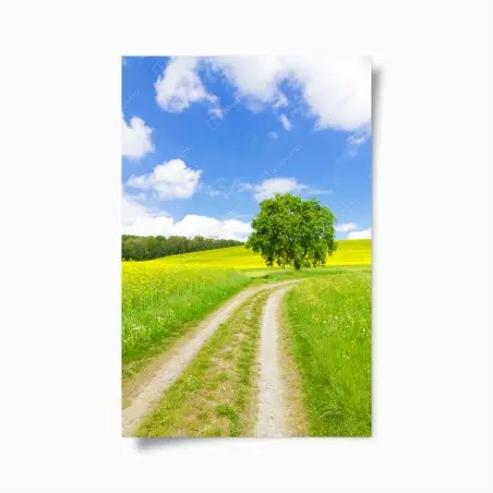 Poster sonniger feldweg mit einsamem baum – Pixers®