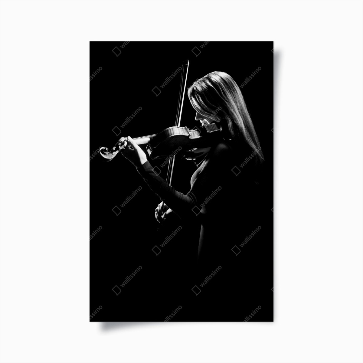 Poster elegante geigerin silhouette – Pixers®