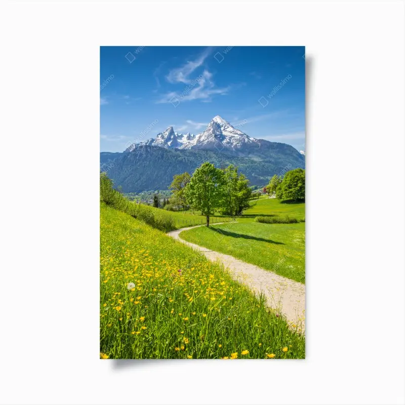 Poster alpenwiese und bergpfad