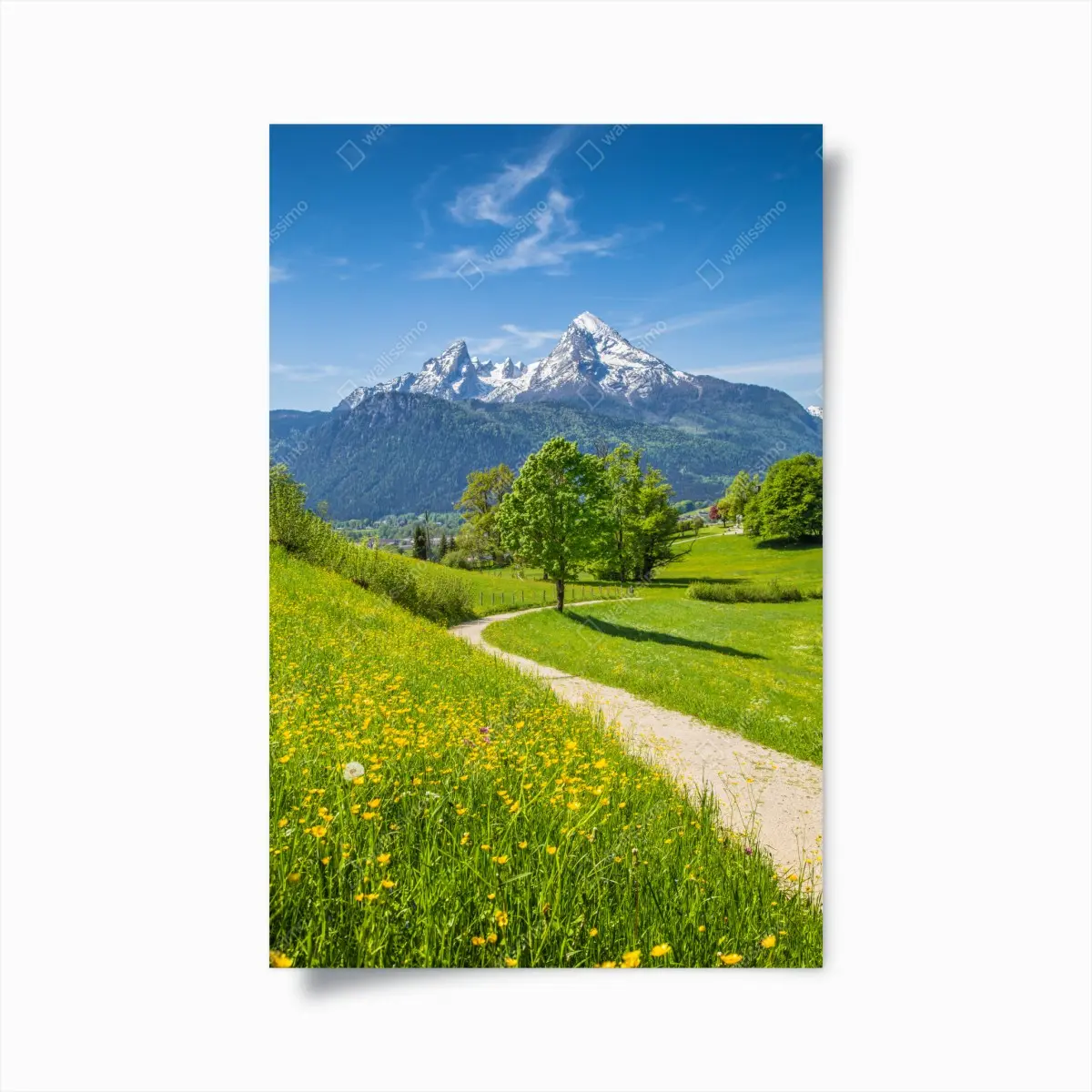Poster alpenwiese und bergpfad – Pixers®