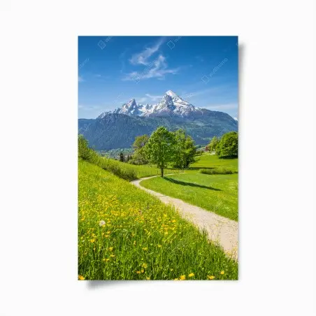 Poster alpenwiese und bergpfad – Pixers®