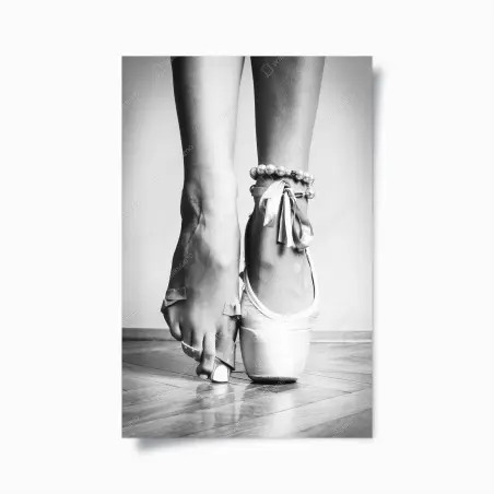 Poster ballettspitze in anmut – Pixers®