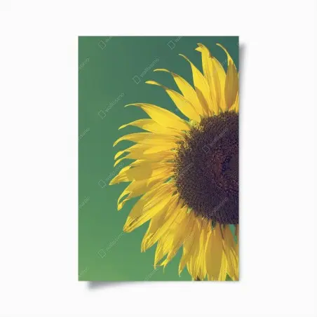 Poster strahlende sonnenblume vor vintage-himmel – Pixers®