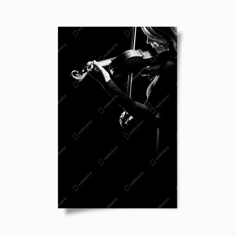 Poster elegante geigerin in silhouette