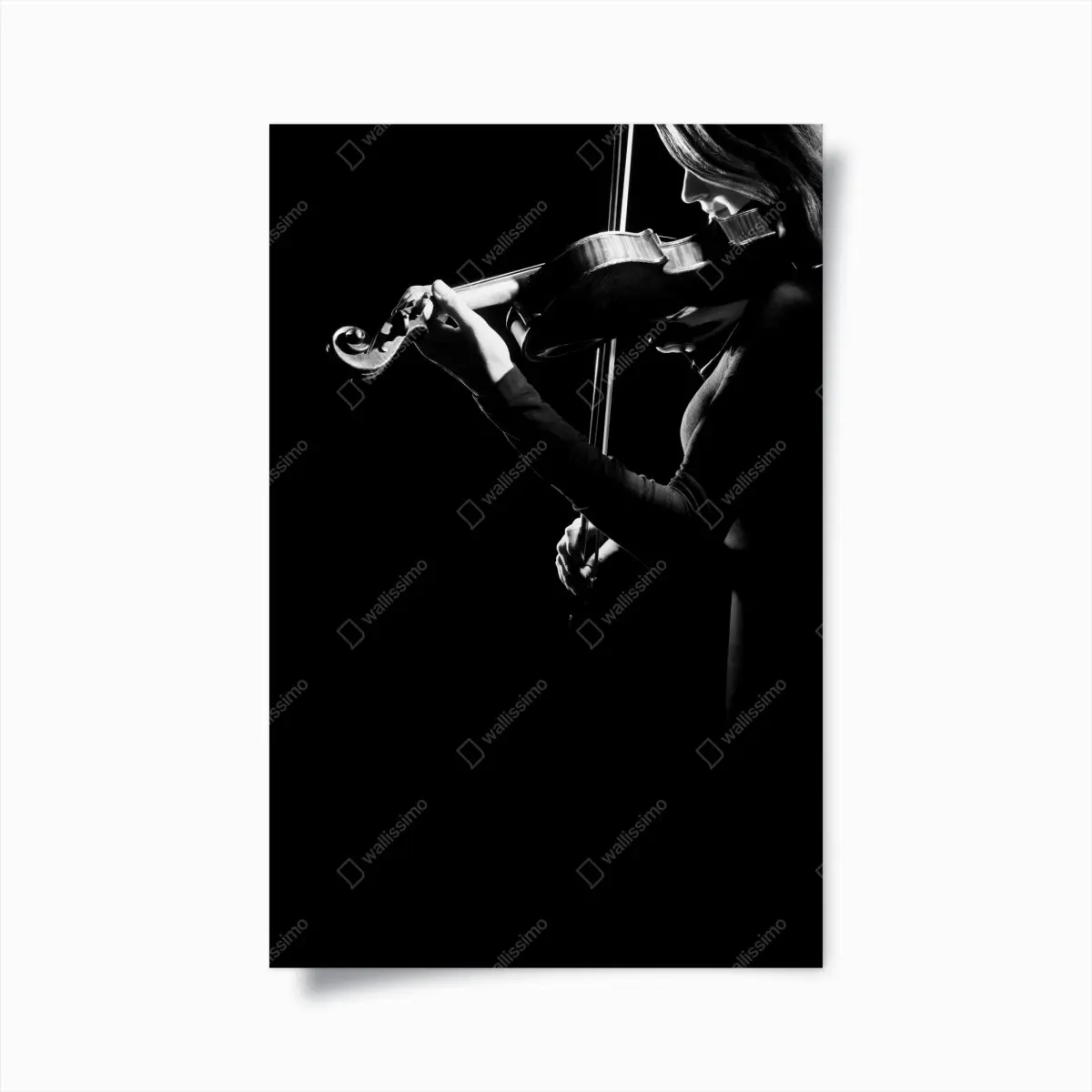 Poster elegante geigerin in silhouette – Pixers®