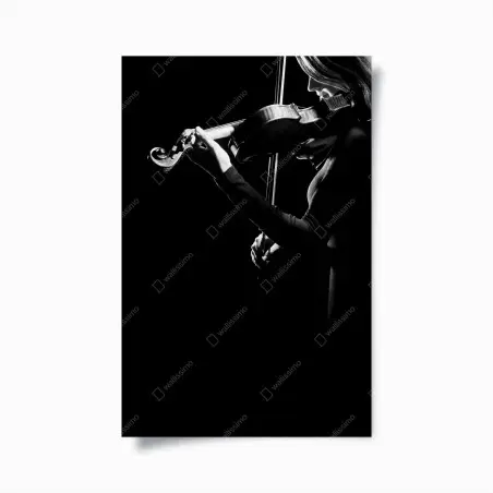 Poster elegante geigerin in silhouette – Pixers®