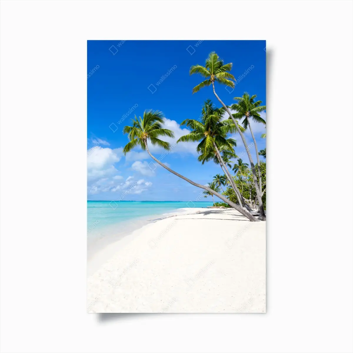 Poster tropischer palmenstrand – Pixers®