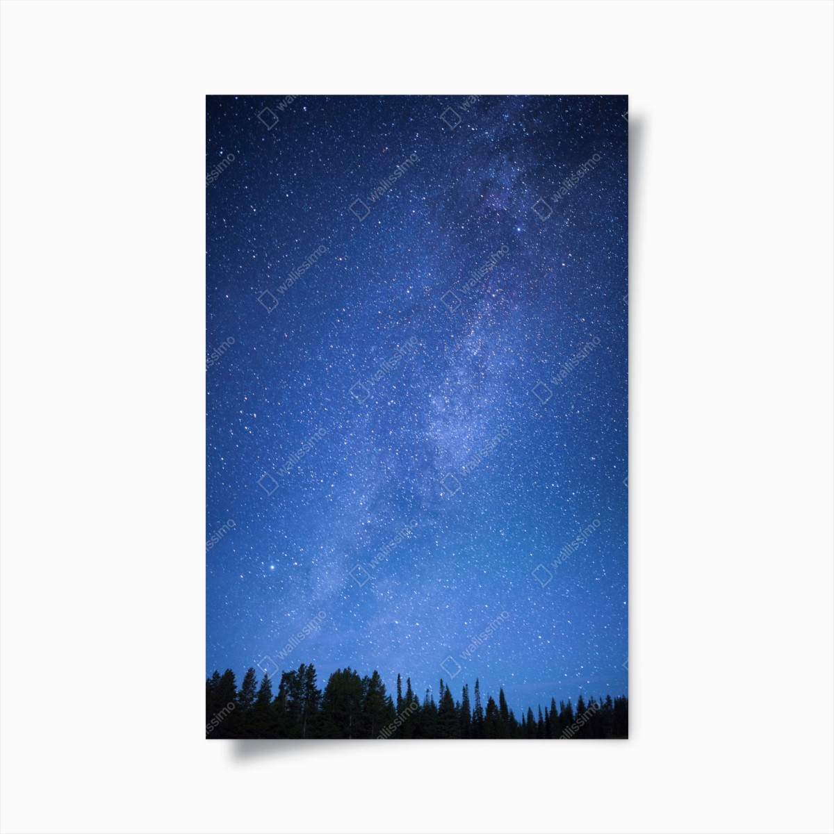 Poster sternenklare Milchstraße über dem Wald – Pixers®