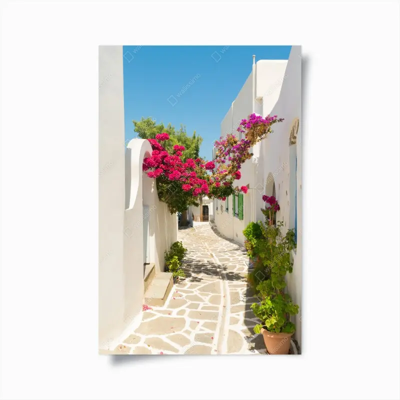 Poster sonnige mediterrane gasse mit bougainvillea