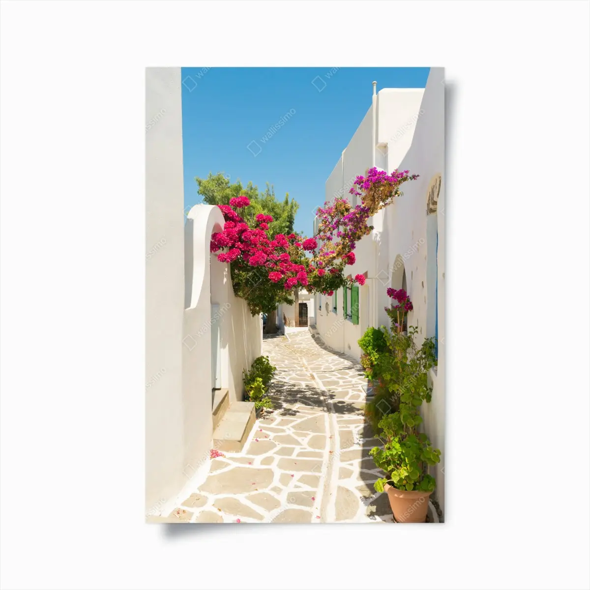 Poster sonnige mediterrane gasse mit bougainvillea – Pixers®