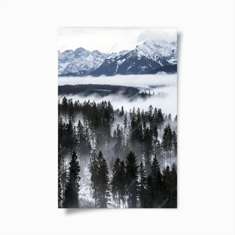 Poster Tatra im winternebel