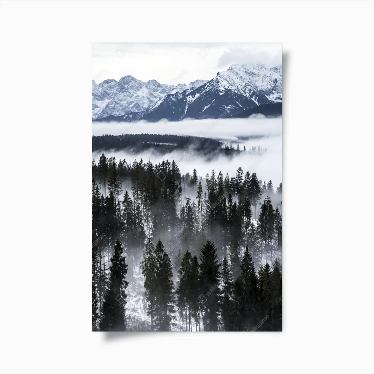 Poster Tatra im winternebel – Pixers®