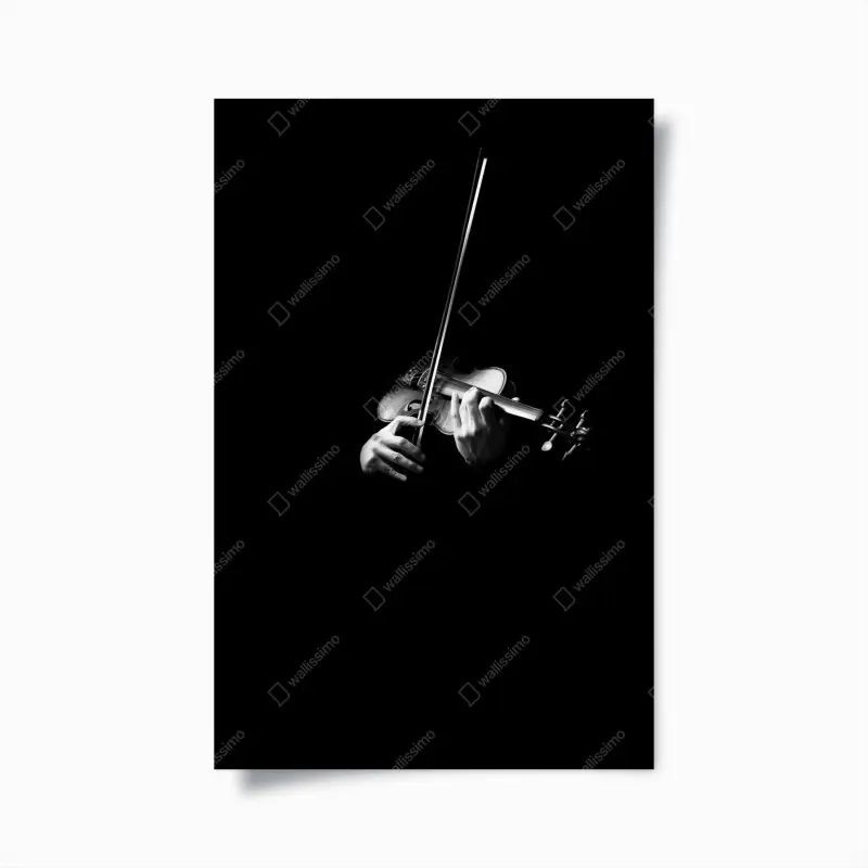 Poster geige in monochrom