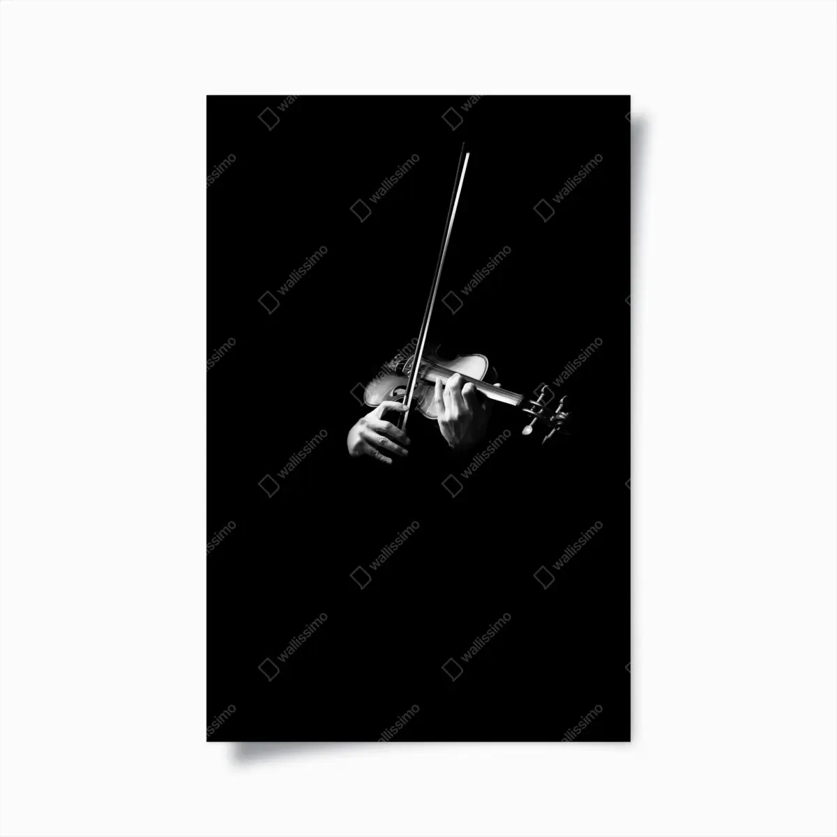 Poster geige in monochrom – Pixers®