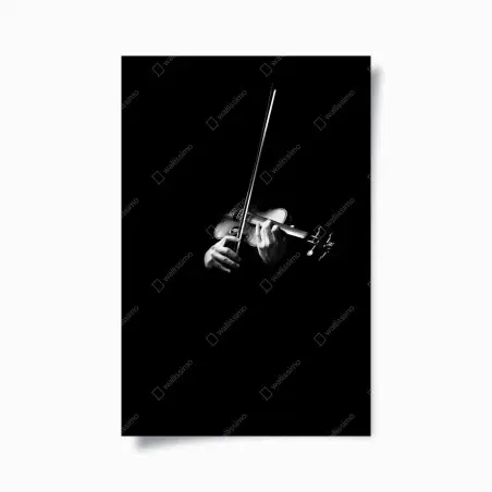 Poster geige in monochrom – Pixers®