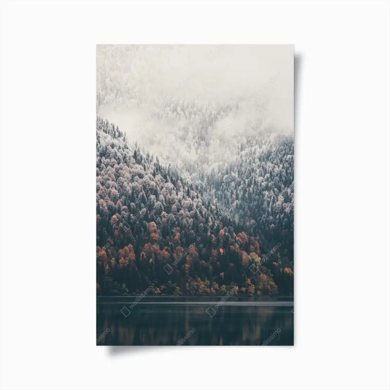 Poster herbstlicher nebel über bergwald