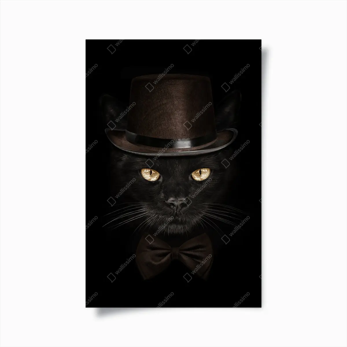 Poster elegante schwarze katze mit zylinder und fliege – Pixers®